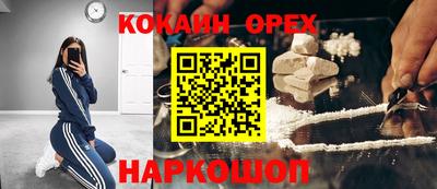 амф Можга