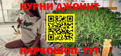 сатива Можайск