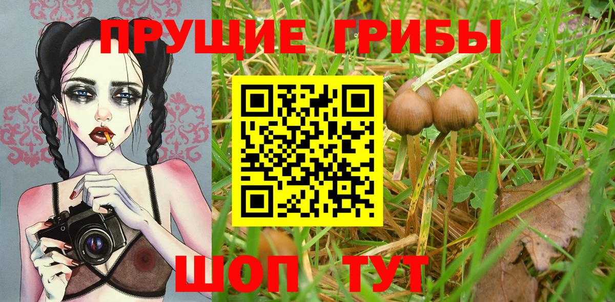 Галлюциногенные грибы MAGIC MUSHROOMS  Вход с VPN  Югорск 